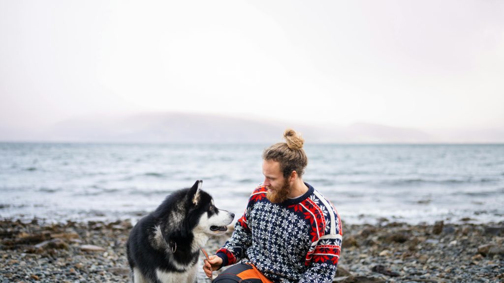 A man in a sweater sits with a husky on a rocky Norwegian seashore.